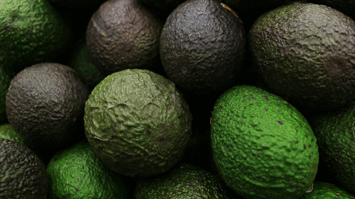 Aguacates agrosustain Fruit Attraction 2025 (1).png